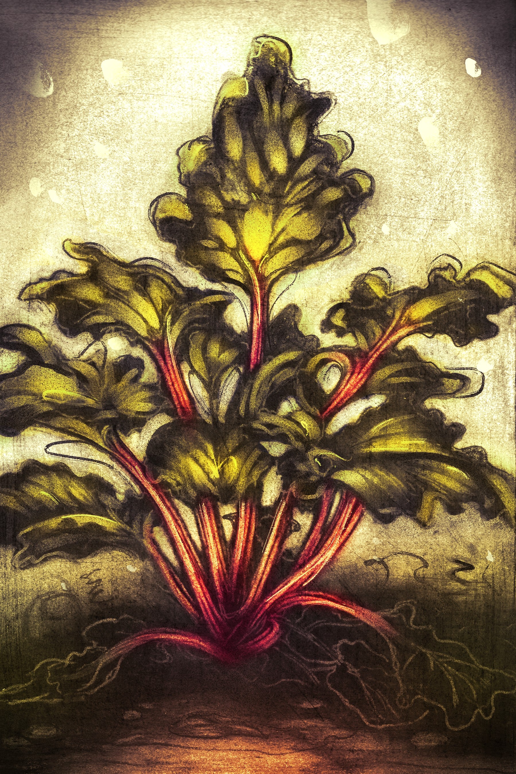 Detailed illustration of a rhubarb root with green leaves on a textured background